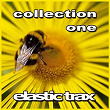 Elastic Trax Collection One | Vanferro