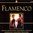 Flamenco | Pepe Pinto