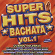 Super Hits Bachata Volume 1 Cuando Volveras | Pedrito & Alfredito