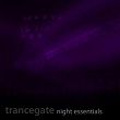 Night Essentials | Trancegate