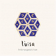 Introspection | Lùisa