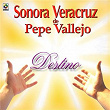 Destino | Sonora Veracruz De Pepe Vallejo