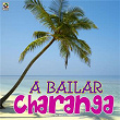 A Bailar Charanga | Orquesta América