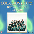 Colección de Oro, Vol. 2 | Banda Torera Del Valle
