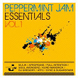 Peppermint Jam Essentials (1) | Can 7