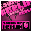 Sound Of Berlin 8 - The Finest Club Sounds Selection of House, Electro, Minimal and Techno | Tigerskin