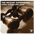 The Mozart Experience | Nicholas Mc Gegan