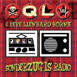 Sonderzug is Radio | Ql & Pepe Lienhard Horns