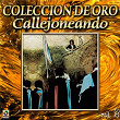 Colección De Oro: Callejoneando Con Las Estudiantinas, Vol. 2 | Estudiantina De La Universidad De Guanajuato
