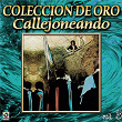 Colección De Oro: Callejoneando Con Las Estudiantinas, Vol. 3 | Rondalla De La Universidad Potosina