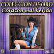 Colección De Oro: Reventón De Bandas, Vol. 3 – Corazón Mal Herido | Banda Cuisillos