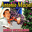 Sones Mexicanos | Antonio Maciel