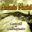 Camino de Guanajuato | Antonio Maciel