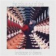 Landscape Of Dreams | The Colours Out Of Time