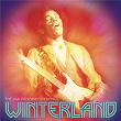 Winterland | Jimi Hendrix