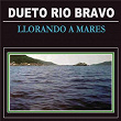 Llorando a Mares | Dueto Río Bravo