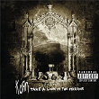 Take A Look In The Mirror | Korn