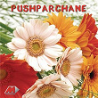 Pushparchane Vol. 3 | K S Chithra