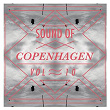 Sound Of Copenhagen Vol. 10 | Thom Catt