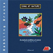 Song of Nature - Babbling Brooks | Ronu Majumdar