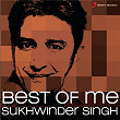 Best of Me Sukhwinder Singh | Shankar Ehsaan Loy