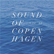 Sound Of Copenhagen Vol. 12 | Fitness Figures