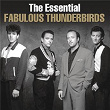 The Essential Fabulous Thunderbirds | The Fabulous Thunderbirds