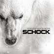 Schock | Eisbrecher