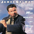 The Wind Beneath My Wings | James Galway