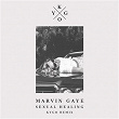 Sexual Healing (Kygo Remix) | Marvin Gaye & Kygo