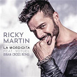 La Mordidita (Brian Cross Remix) | Ricky Martin