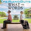 What Are Words | The Piano Guys