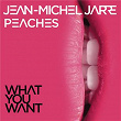 What You Want | Jean-michel Jarre & Peaches