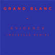 Evidence (Molecule Remix) | Grand Blanc