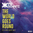 The World Goes Round (Pic Goes Deep Mix) | Pic Schmitz