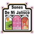 Sones de Mi Jalisco | Mariachi Jalisco De Pepe Villa