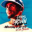 Welcome To My Life | Chris Brown