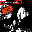 Puñado de Semillas (Remasterizado) | Augusto Blanca