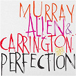Perfection | David Murray