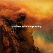 What's Happening | Mishlawi