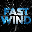 Fast Wind | Pinto Wahin