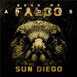 Rock Me Amadeus | Sun Diego X Falco