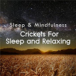 Crickets for Sleep and Relaxing (Sleep & Mindfulness) | Sleepy Times, Nature Ambience & Night Sounds