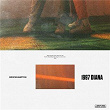 1997 DIANA | Brockhampton