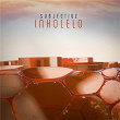 Inkolelo (Vessels Remix) | Subjective