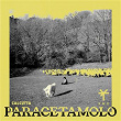 Paracetamolo (TY1 Remix) | Calcutta & Ty1