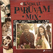 Kadhal Paruvam Mix | Anirudh Ravichander