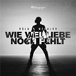 Wie viel Liebe noch fehlt | Rola X Megaloh