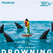 Drowning | Franklin, Digital Farm Animals, Sorana