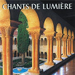 Chants de lumière : Hymnes, fêtes et saisons | Choeur Des Frères Bénédictins De La Province De France
